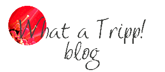 blog